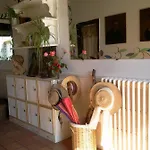 Le Chateau De Roquebere לינה וארוחת בוקר 3*