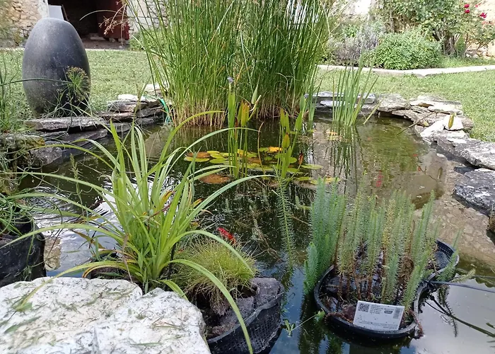 Le Chateau De Roquebere Condom