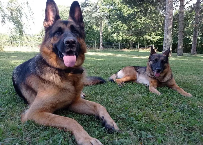 Bed & Breakfast Le Chateau De Roquebere Condom