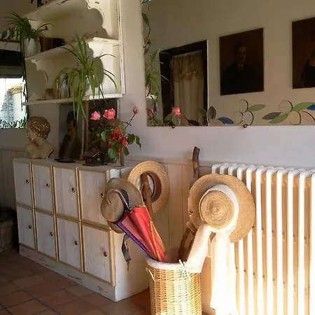 Le Chateau De Roquebere Bed & Breakfast *