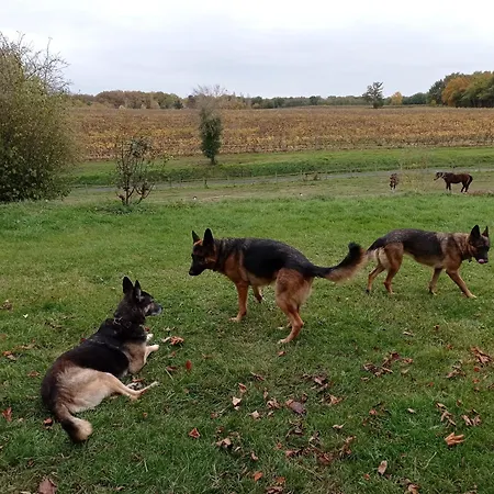 Le Château De Roquebère Alojamento de Acomodação e Pequeno-almoço