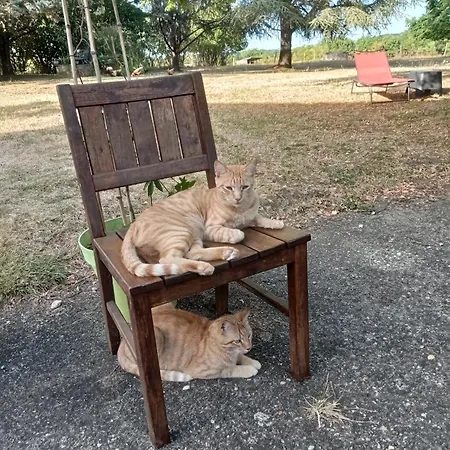 Le Château De Roquebère 3*