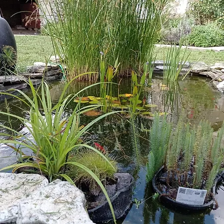 Le Château De Roquebère Condom