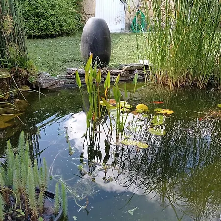 Le Château De Roquebère Alojamento de Acomodação e Pequeno-almoço Condom