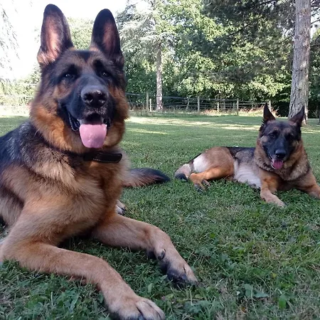 Alojamento de Acomodação e Pequeno-almoço Le Château De Roquebère Condom