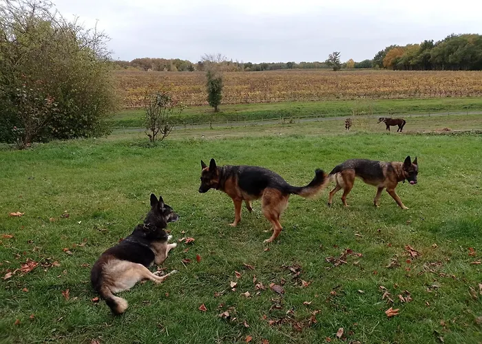 Le Chateau De Roquebere לינה וארוחת בוקר
